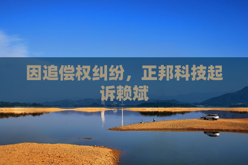 因追偿权纠纷，正邦科技起诉赖斌