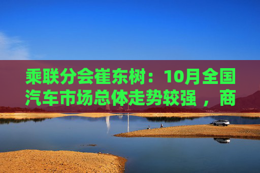 乘联分会崔东树：10月全国汽车市场总体走势较强 ，商用车市场现结构性增长