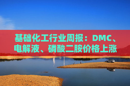 基础化工行业周报:DMC、电解液、磷酸二胺价格上涨 关注反内卷和铬盐