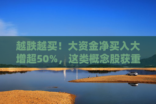 越跌越买！大资金净买入大增超50%，这类概念股获重点关注