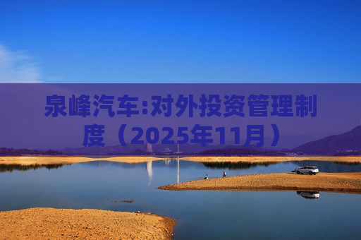 泉峰汽车:对外投资管理制度（2025年11月）