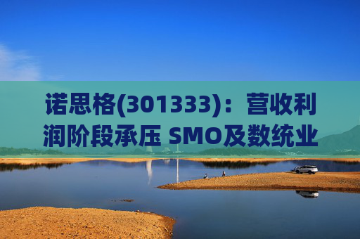 诺思格(301333)：营收利润阶段承压 SMO及数统业务保持稳健增长  第1张
