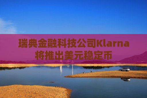 瑞典金融科技公司Klarna将推出美元稳定币  第1张