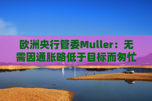 欧洲央行管委Muller：无需因通胀略低于目标而匆忙降息