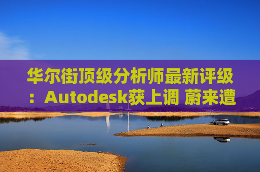 华尔街顶级分析师最新评级：Autodesk获上调 蔚来遭下调