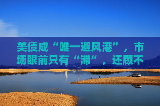 美债成“唯一避风港”，市场眼前只有“滞”，还顾不上“胀”  第1张