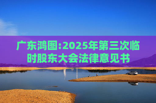 广东鸿图:2025年第三次临时股东大会法律意见书