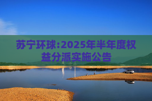 苏宁环球:2025年半年度权益分派实施公告