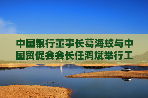 中国银行董事长葛海蛟与中国贸促会会长任鸿斌举行工作会谈