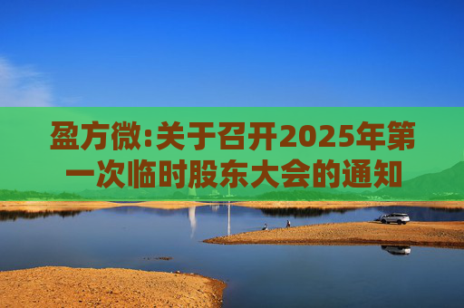 盈方微:关于召开2025年第一次临时股东大会的通知