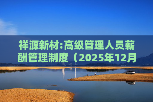 祥源新材:高级管理人员薪酬管理制度（2025年12月）