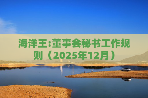 海洋王:董事会秘书工作规则（2025年12月）