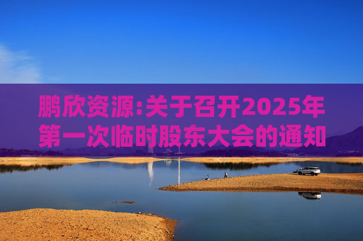 鹏欣资源:关于召开2025年第一次临时股东大会的通知