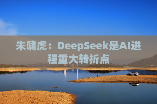 朱啸虎：DeepSeek是AI进程重大转折点