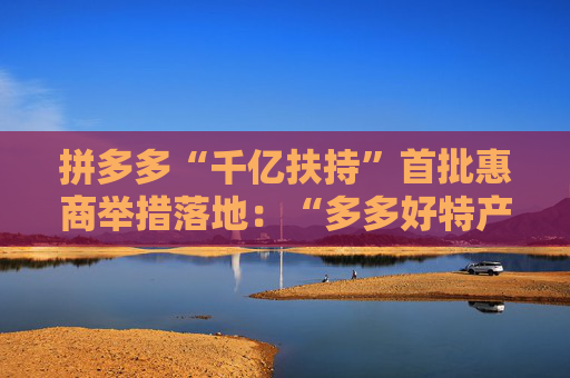 拼多多“千亿扶持”首批惠商举措落地：“多多好特产”等专项启动