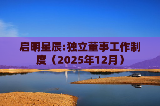 启明星辰:独立董事工作制度（2025年12月）  第1张
