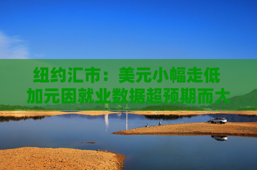 纽约汇市：美元小幅走低 加元因就业数据超预期而大幅上涨