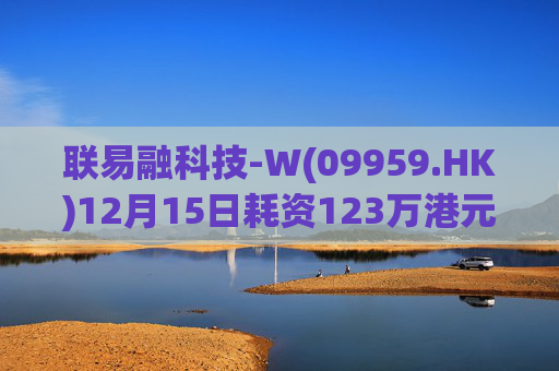 联易融科技-W(09959.HK)12月15日耗资123万港元回购53.3万股