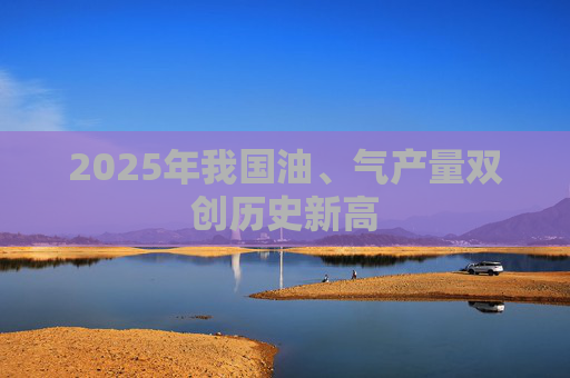 2025年我国油、气产量双创历史新高