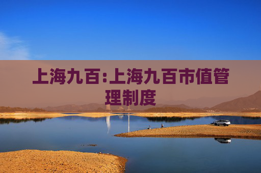 上海九百:上海九百市值管理制度