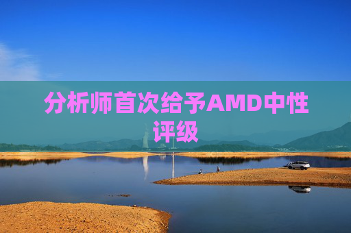 分析师首次给予AMD中性评级