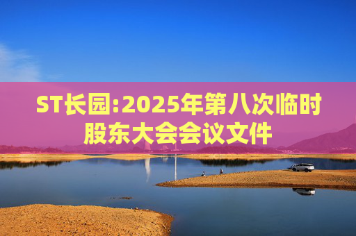 ST长园:2025年第八次临时股东大会会议文件