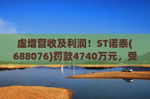 虚增营收及利润！ST诺泰(688076)罚款4740万元，受损投资者可索赔！
