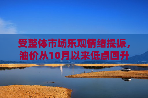 受整体市场乐观情绪提振，油价从10月以来低点回升