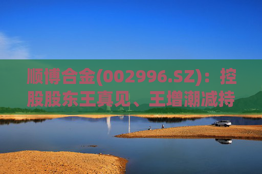 顺博合金(002996.SZ)：控股股东王真见、王增潮减持1371.88万股公司股份