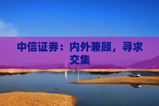 中信证券：内外兼顾，寻求交集