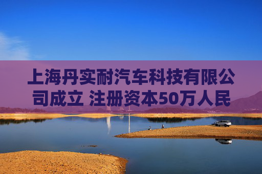 上海丹实耐汽车科技有限公司成立 注册资本50万人民币