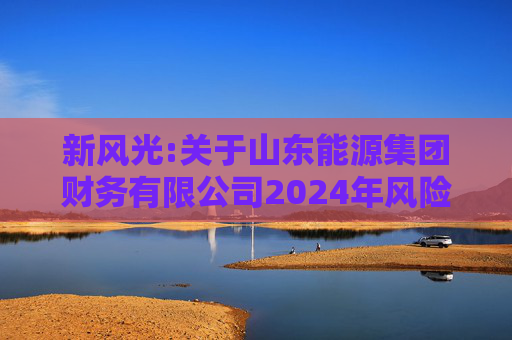 新风光:关于山东能源集团财务有限公司2024年风险评估报告  第1张
