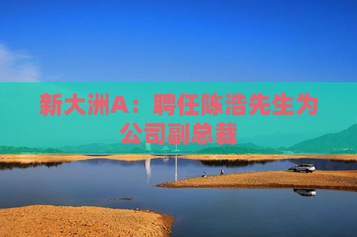 新大洲A：聘任陈浩先生为公司副总裁