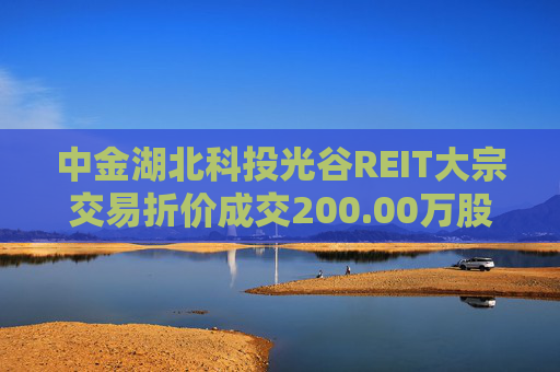 中金湖北科投光谷REIT大宗交易折价成交200.00万股  第1张