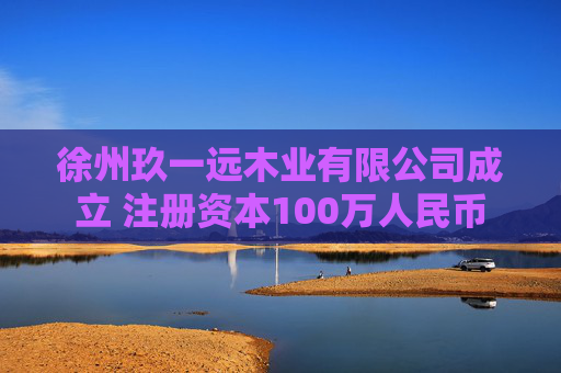 徐州玖一远木业有限公司成立 注册资本100万人民币