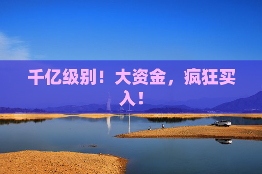 千亿级别！大资金，疯狂买入！  第1张