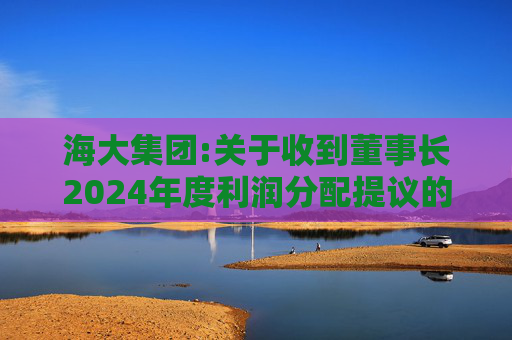 海大集团:关于收到董事长2024年度利润分配提议的公告  第1张