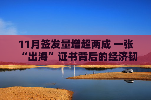 11月签发量增超两成 一张“出海”证书背后的经济韧性  第1张