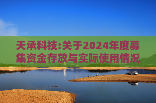 天承科技:关于2024年度募集资金存放与实际使用情况的专项报告  第1张