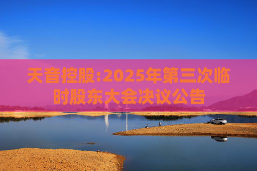 天音控股:2025年第三次临时股东大会决议公告