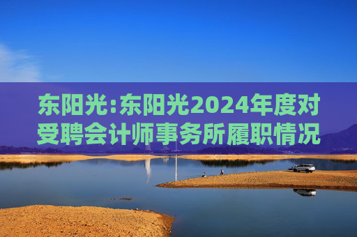 东阳光:东阳光2024年度对受聘会计师事务所履职情况的评估报告