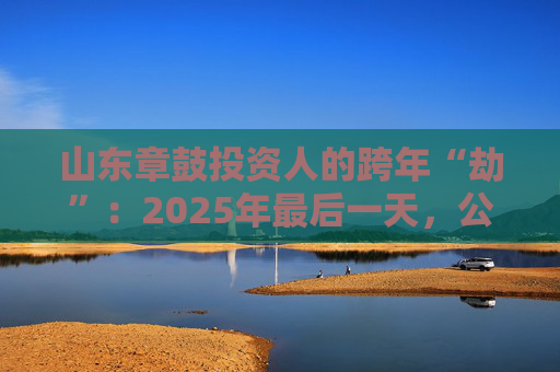 山东章鼓投资人的跨年“劫”：2025年最后一天，公司披露被中国证监会立案调查