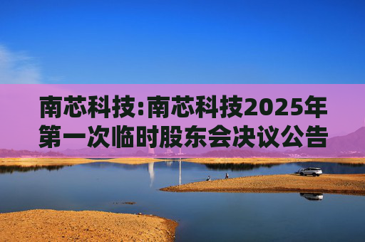 南芯科技:南芯科技2025年第一次临时股东会决议公告  第1张