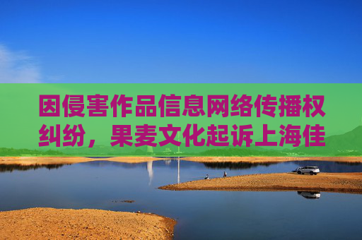 因侵害作品信息网络传播权纠纷，果麦文化起诉上海佳顶文化传媒有限公司