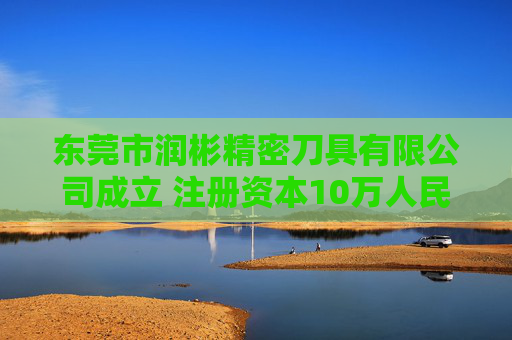 东莞市润彬精密刀具有限公司成立 注册资本10万人民币