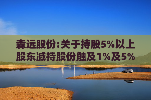 森远股份:关于持股5%以上股东减持股份触及1%及5%整数倍暨披露简式权益变动报告书的提示性公告