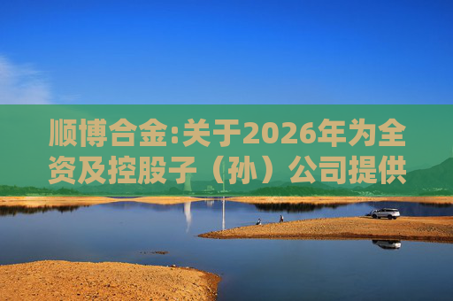 顺博合金:关于2026年为全资及控股子（孙）公司提供担保的公告