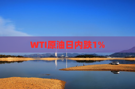 WTI原油日内跌1%  第1张