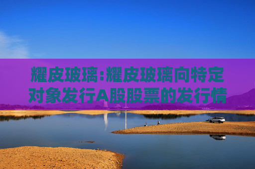 耀皮玻璃:耀皮玻璃向特定对象发行A股股票的发行情况报告书