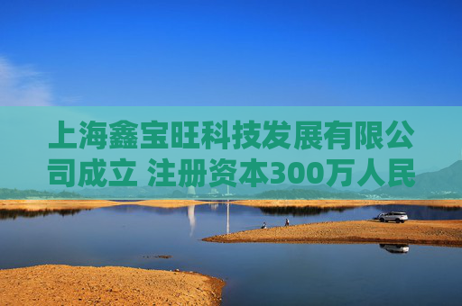 上海鑫宝旺科技发展有限公司成立 注册资本300万人民币